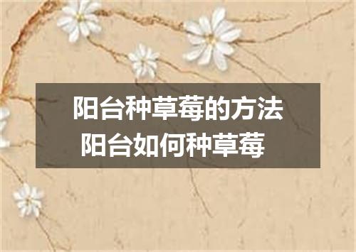 阳台种草莓的方法 阳台如何种草莓