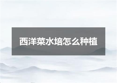 西洋菜水培怎么种植