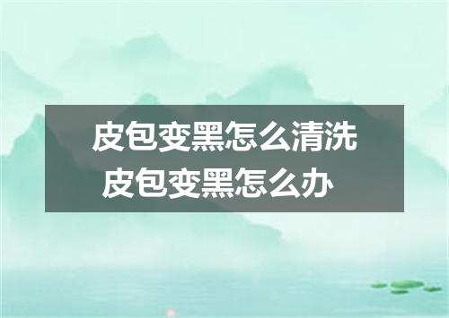 皮包变黑怎么清洗 皮包变黑怎么办