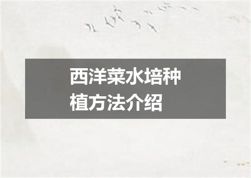 西洋菜水培种植方法介绍