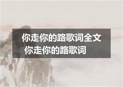 你走你的路歌词全文 你走你的路歌词