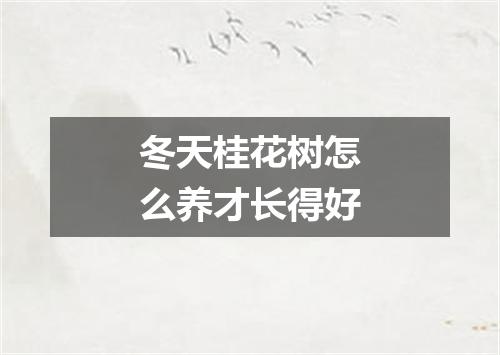 冬天桂花树怎么养才长得好