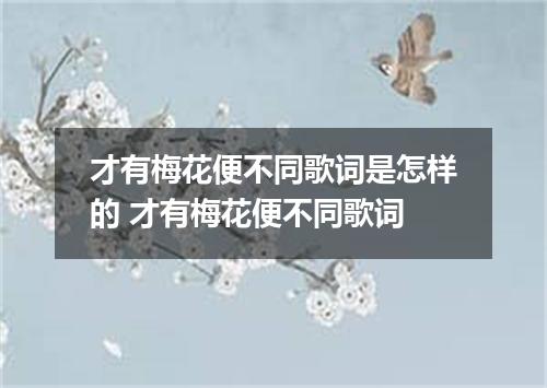 才有梅花便不同歌词是怎样的 才有梅花便不同歌词