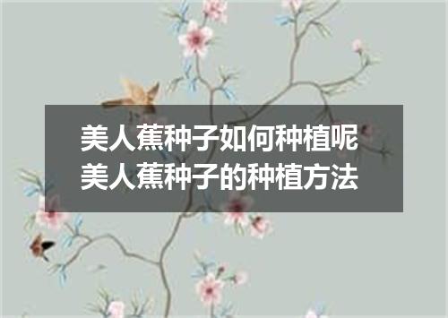 美人蕉种子如何种植呢 美人蕉种子的种植方法