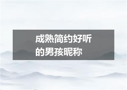 成熟简约好听的男孩昵称