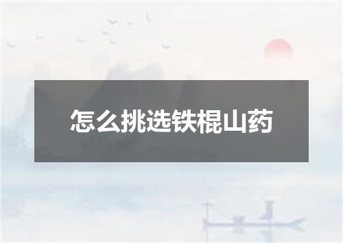 怎么挑选铁棍山药