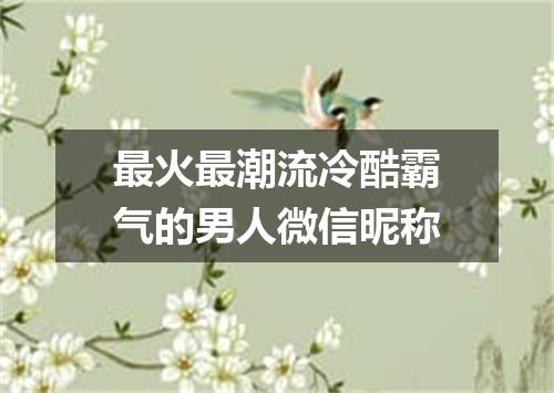 最火最潮流冷酷霸气的男人微信昵称