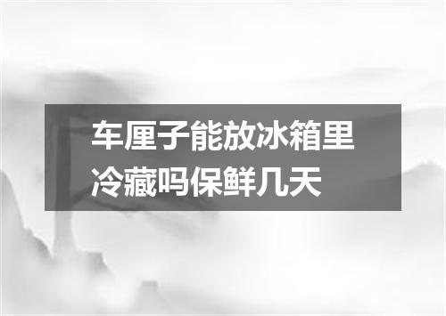 车厘子能放冰箱里冷藏吗保鲜几天