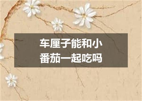 车厘子能和小番茄一起吃吗