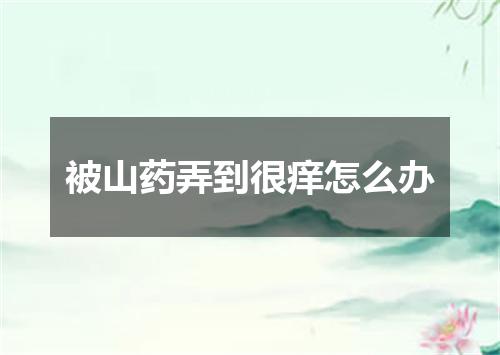 被山药弄到很痒怎么办