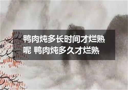 鸭肉炖多长时间才烂熟呢 鸭肉炖多久才烂熟