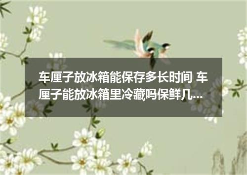 车厘子放冰箱能保存多长时间 车厘子能放冰箱里冷藏吗保鲜几天