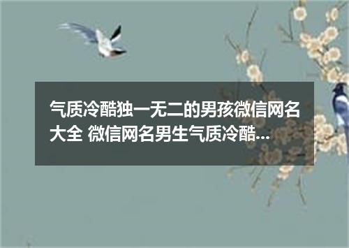 气质冷酷独一无二的男孩微信网名大全 微信网名男生气质冷酷高清