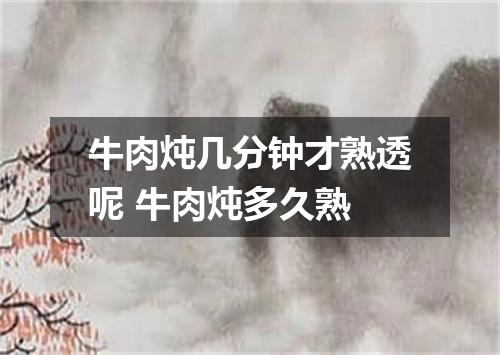 牛肉炖几分钟才熟透呢 牛肉炖多久熟