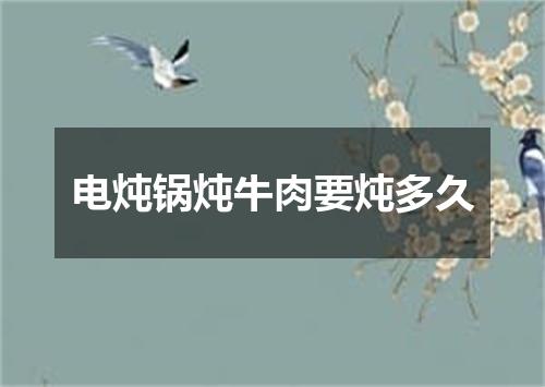 电炖锅炖牛肉要炖多久