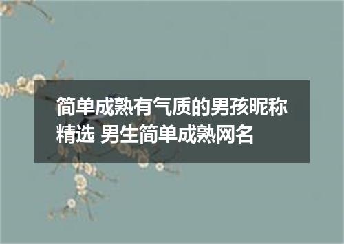 简单成熟有气质的男孩昵称精选 男生简单成熟网名