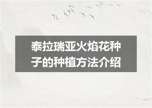 泰拉瑞亚火焰花种子的种植方法介绍