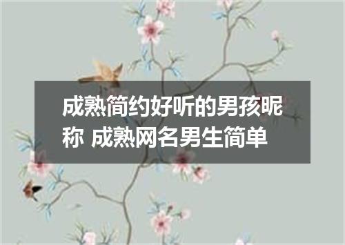 成熟简约好听的男孩昵称 成熟网名男生简单