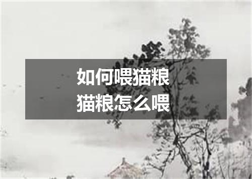 如何喂猫粮 猫粮怎么喂