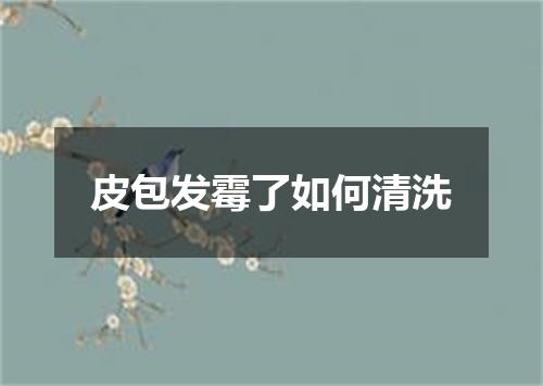 皮包发霉了如何清洗