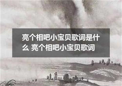 亮个相吧小宝贝歌词是什么 亮个相吧小宝贝歌词