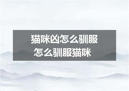 猫咪凶怎么驯服 怎么驯服猫咪