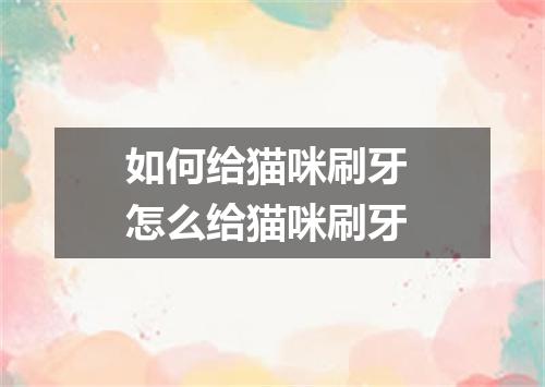 如何给猫咪刷牙 怎么给猫咪刷牙