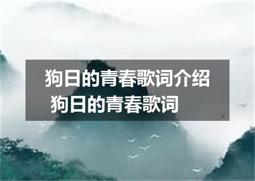 狗日的青春歌词介绍 狗日的青春歌词