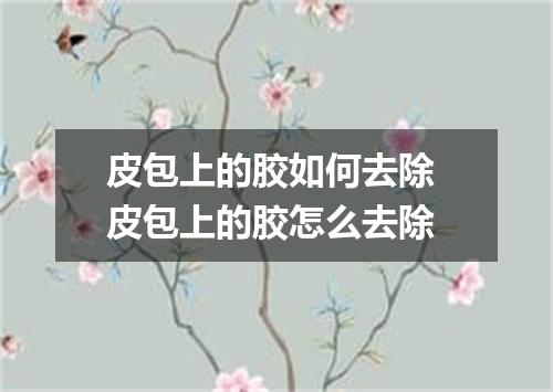 皮包上的胶如何去除 皮包上的胶怎么去除