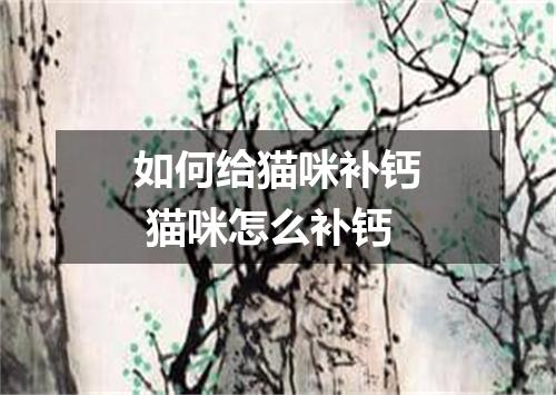 如何给猫咪补钙 猫咪怎么补钙