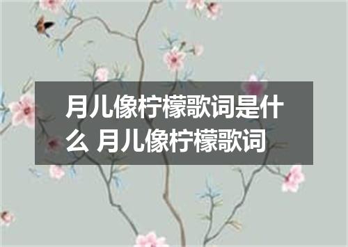 月儿像柠檬歌词是什么 月儿像柠檬歌词