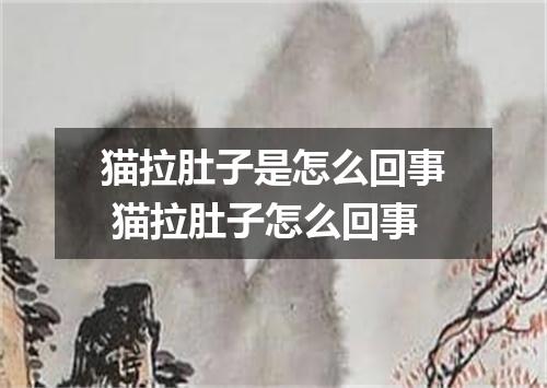 猫拉肚子是怎么回事 猫拉肚子怎么回事