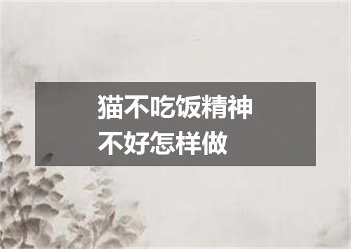 猫不吃饭精神不好怎样做