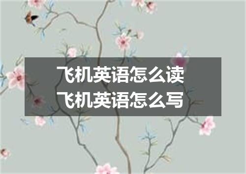 飞机英语怎么读 飞机英语怎么写