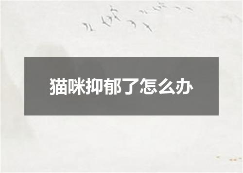 猫咪抑郁了怎么办