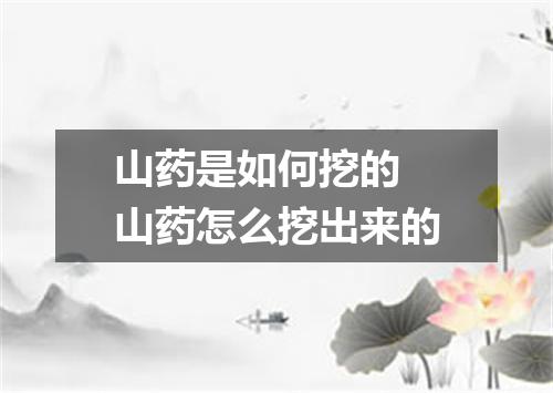 山药是如何挖的 山药怎么挖出来的