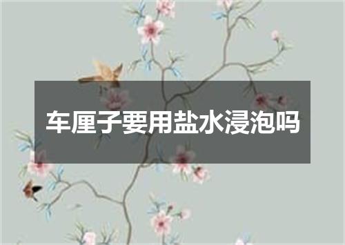 车厘子要用盐水浸泡吗