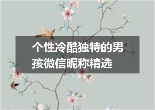 个性冷酷独特的男孩微信昵称精选