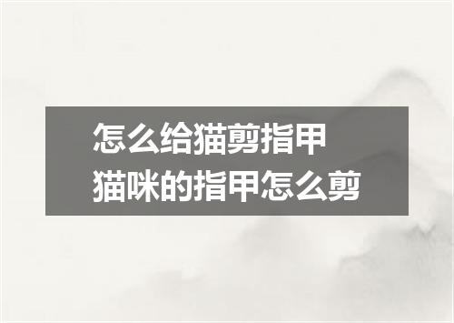 怎么给猫剪指甲 猫咪的指甲怎么剪