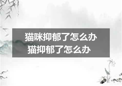 猫咪抑郁了怎么办 猫抑郁了怎么办