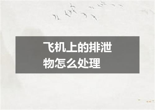 飞机上的排泄物怎么处理