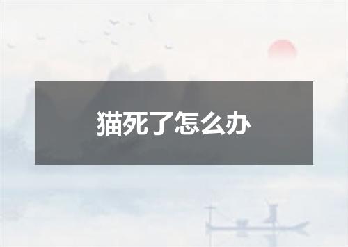 猫死了怎么办