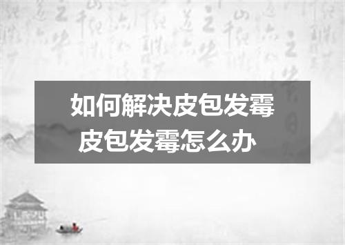 如何解决皮包发霉 皮包发霉怎么办