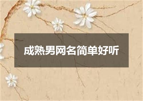 成熟男网名简单好听