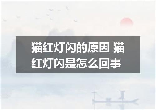 猫红灯闪的原因 猫红灯闪是怎么回事