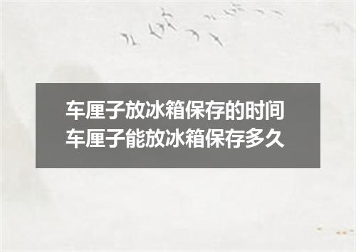 车厘子放冰箱保存的时间 车厘子能放冰箱保存多久