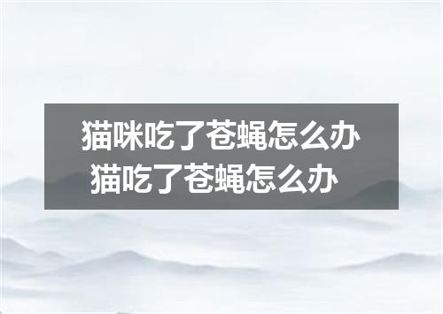 猫咪吃了苍蝇怎么办 猫吃了苍蝇怎么办