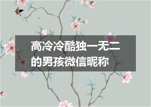 高冷冷酷独一无二的男孩微信昵称