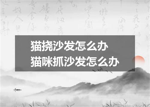 猫挠沙发怎么办 猫咪抓沙发怎么办