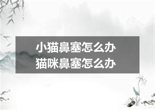 小猫鼻塞怎么办 猫咪鼻塞怎么办